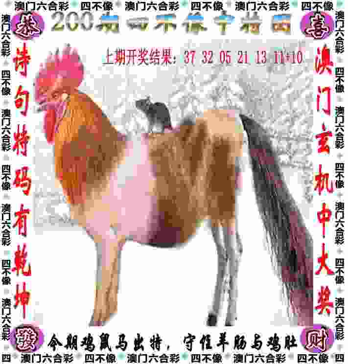 77777888888免费4肖下载最终版-2025年新奥免费正版工具官方版下载 v6   .97   .844   -2278安卓网